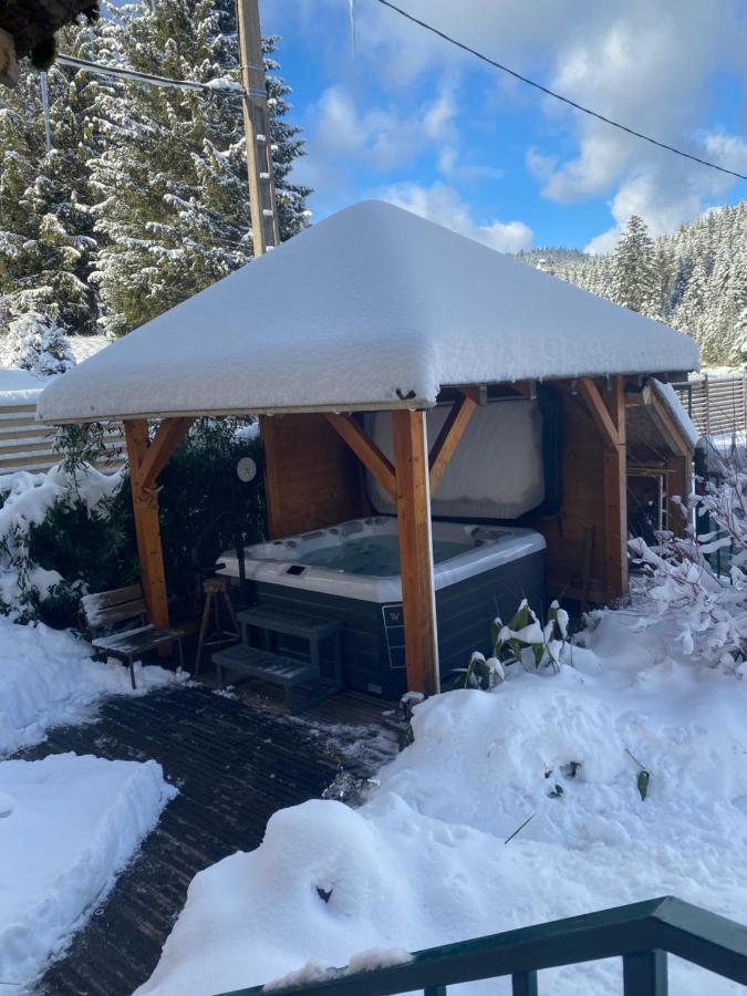 Maison La Deviniere - Sauna Et Spa Compris Accessibles Toute L'Annee Xonrupt-Longemer Εξωτερικό φωτογραφία