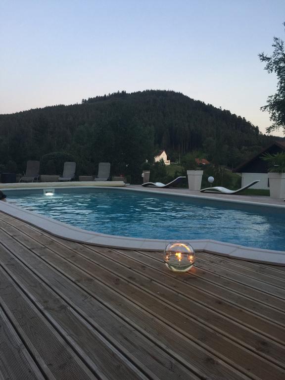 Maison La Deviniere - Sauna Et Spa Compris Accessibles Toute L'Annee Xonrupt-Longemer Εξωτερικό φωτογραφία